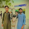.saif.urrehman