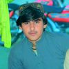 ijad...gull...s