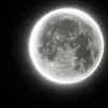 shrekic111
