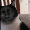 zubu..1