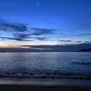 thanhdienmay01