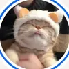 trananh_thuyyduonqq