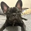 pablo_ivanovv