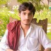 shahid.n364