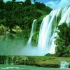user1223926652204