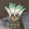 nekog84