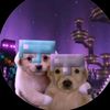 zangar_3330