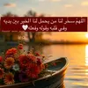 bayla.khadija