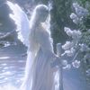 aves_lidget
