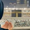 rody.ahmed7030