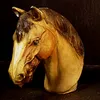 saad.alsafar1