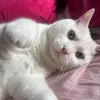 emmayoungman7