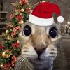 pro_viping6