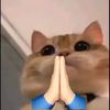 user1131601145102