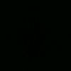 aracy__4