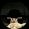_sousaajp