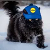 gattodellalidl67