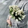za_n445