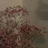 itsroma16
