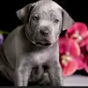 user530180110081