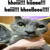 beanzz380