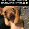 user4729837005228