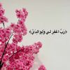 saaz79