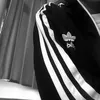 xvantedd