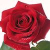 user046973063