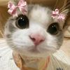 rania.safiya62