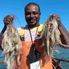 bubapescador