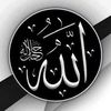 meermuzamil643