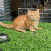 meongmeong2211