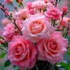 mithila5119