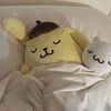 meow_8309
