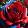ochin.pakhi703
