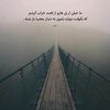 seyedeh_nabavi1381