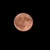 hanna_1023.1