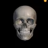 baba99m