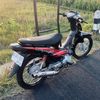 decndra12_