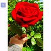 user23071503710003