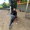 lng.vn.thng291
