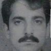 habibabbasi067