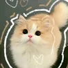 khanhng080