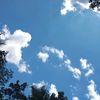 lisna_020224