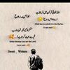 raheela643