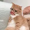 baonam0893
