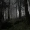 urkaburka_