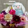 alberta.otilia.hu