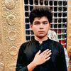 syedhaidernaqvi.5